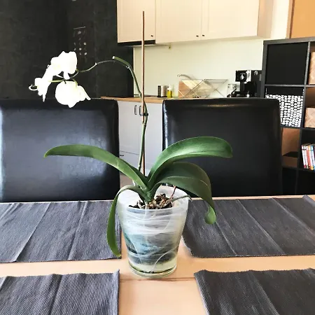 Apartmán Miramar 8 Balčik